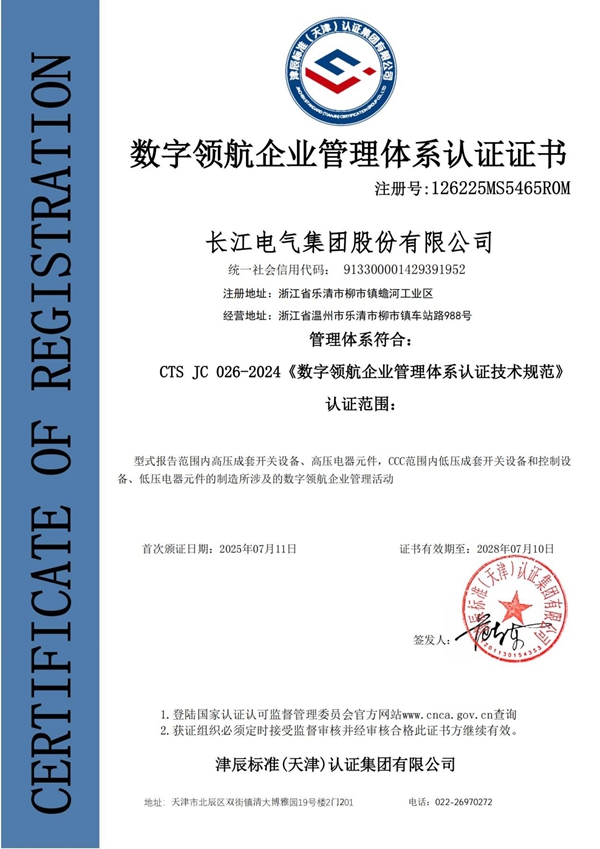 Digital leading enterprises