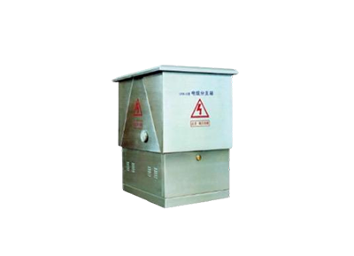 DFW - 12 HV Cable Branch Box